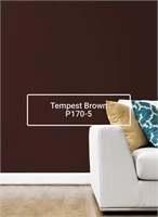 Краска моющаяся ультра-матовая интерьерная LOGGIA ROYAL PAINT WASHABLE PAINT 5006