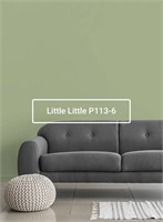 Краска моющаяся ультра-матовая интерьерная LOGGIA ROYAL PAINT WASHABLE PAINT 5028