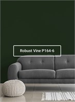 Краска моющаяся ультра-матовая интерьерная LOGGIA ROYAL PAINT WASHABLE PAINT 5029