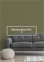 Краска моющаяся ультра-матовая интерьерная LOGGIA ROYAL PAINT WASHABLE PAINT 5033_39ADE