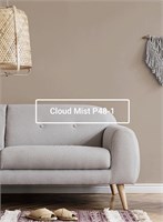 Краска моющаяся ультра-матовая интерьерная LOGGIA ROYAL PAINT WASHABLE PAINT 5049