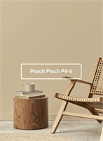 Краска моющаяся ультра-матовая интерьерная LOGGIA ROYAL PAINT WASHABLE PAINT 5059