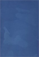 Декоративная краска с текстурой бархата DECORAZZA  Velours VL 10-09 5179