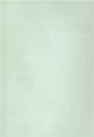 Декоративная краска с текстурой бархата DECORAZZA  Velours VL  10-26 5196