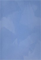 Декоративная краска с текстурой бархата DECORAZZA  Velours VL 10-28 5198