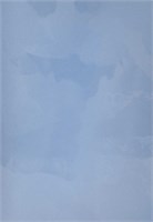 Декоративная краска с текстурой бархата DECORAZZA  Velours VL 10-29 5199