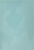 Декоративная краска с текстурой бархата DECORAZZA  Velours VL 10-33 5203