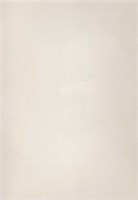 Декоративная краска с текстурой бархата DECORAZZA  Velours  VL 10-36 5206