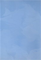 Декоративная краска с текстурой бархата DECORAZZA  Velours VL 10-39 5208