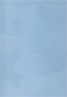 Декоративная краска с текстурой бархата DECORAZZA  Velours VL 10-40 5209