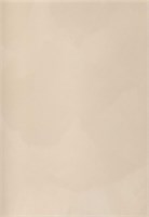 Декоративная краска с текстурой бархата DECORAZZA  Velours VL 10-61 5229