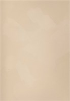 Декоративная краска с текстурой бархата DECORAZZA  Velours VL 10-62 5230