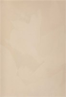 Декоративная краска с текстурой бархата DECORAZZA  Velours VL 10-65 5233