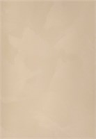 Декоративная краска с текстурой бархата DECORAZZA  Velours VL 10-66 5234