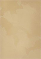 Декоративная краска с текстурой бархата DECORAZZA  Velours VL 10-67 5235