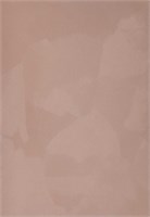 Декоративная краска с текстурой бархата DECORAZZA  Velours VL 10-71 5239