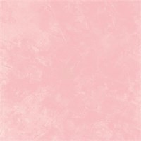 Классическая венецианская штукатурка на известковой основе DECORAZZA Calce Veneziana SV 10-77 6116