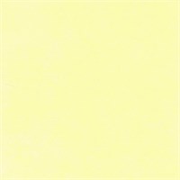Классическая венецианская штукатурка на известковой основе DECORAZZA Calce Veneziana SV 10-07 6125