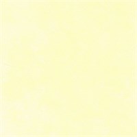 Классическая венецианская штукатурка на известковой основе DECORAZZA Calce Veneziana  SV 10-09 6126