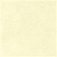 Классическая венецианская штукатурка на известковой основе DECORAZZA Calce Veneziana SV 10-53 6138