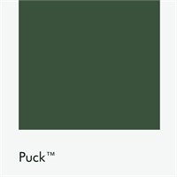 Цвет Little Greene Puck 298 6468