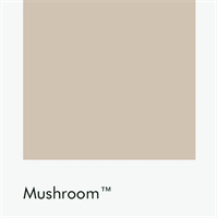 Цвет Little Greene Mushroom 142 6505
