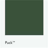 Цвет Little Greene Puck 298 6712