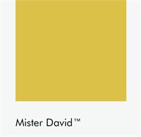 Цвет Little Greene Mister David 47 6722