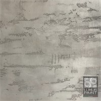 Декоративное покрытие для эффекта полированный  камень, травертин, карта мира, бетон, опалубка  LUXUS PAINT PETHRA 3231