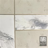 Декоративное покрытие для эффекта полированный  камень, травертин, карта мира, бетон, опалубка  LUXUS PAINT PETHRA 3234