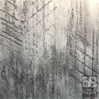 Декоративное покрытие для эффекта полированный  камень, травертин, карта мира, бетон, опалубка  LUXUS PAINT PETHRA 3242