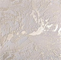 Декоративная штукатурка BL TECHNOLOGY 007 Покрытие с содержанием целлюлозы и мраморной крошки, эффект Карта Мира 3673