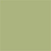 Пробник SANDERSON ACTIVE EMULSION, цвет Artichoke 4228
