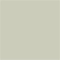 Пробник SANDERSON ACTIVE EMULSION, цвет Driftwood Grey Light 4234