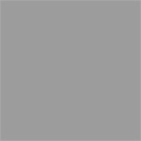 Пробник SANDERSON ACTIVE EMULSION, цвет Gull Grey 4266