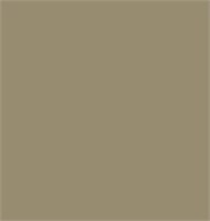 Пробник MORRIS & Co CHALKY MATT (3%), цвет Olive Fruit Paint 4478