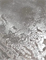 Натуральная сталь, железо Italica  METALLICO NATURALE IRON 2184
