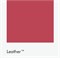 Цвет Little Greene Leather 191 6525