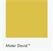 Цвет Little Greene Mister David 47 6722