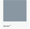Цвет Little Greene  James 108 6737