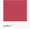 Цвет Little Greene Leather 191 6765